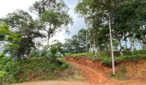 New Format PLT148RS – 09