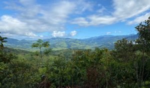 New Format PLT148RS – 10