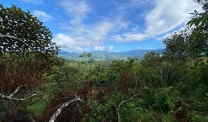 New Format PLT148RS – 11