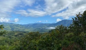 New Format PLT148RS – 12