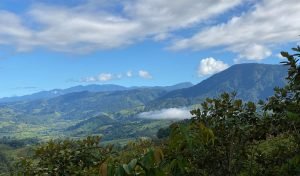 New Format PLT148RS – 13