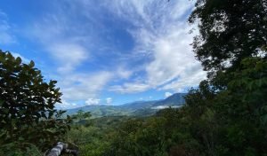 New Format PLT148RS – 14