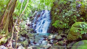 Rainforest Retreat in Escaleras Area of Dominical Near a Waterfall