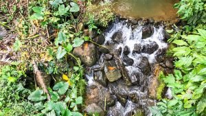 Rainforest Retreat in Escaleras Area of Dominical Near a Waterfall
