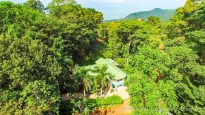 Rainforest Retreat in Escaleras Area of Dominical Near a Waterfall
