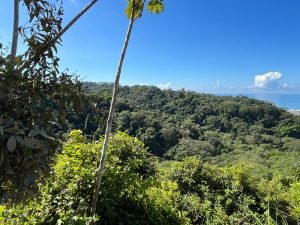 Vista Dominical Estate Century 21 Ocean View Property 0 (33)