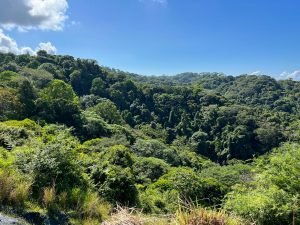 Vista Dominical Estate Century 21 Ocean View Property 0 (36)