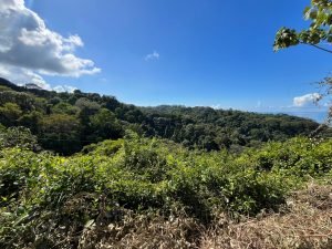 Vista Dominical Estate Century 21 Ocean View Property 0 (37)