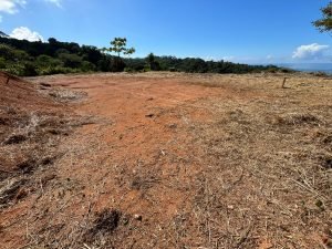 Vista Dominical Estate Century 21 Ocean View Property 2 (2)