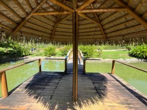 Vista Dominical Estate Century 21 Ocean View Property 5 (36)