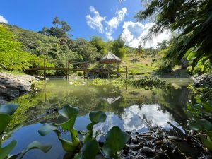 Vista Dominical Estate Century 21 Ocean View Property 5 (38)