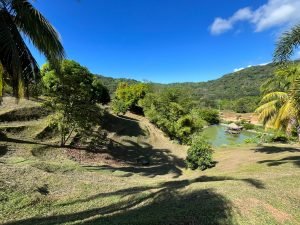 Vista Dominical Estate Century 21 Ocean View Property 5 (39)