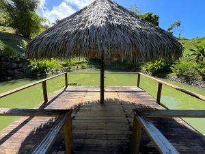 Vista Dominical Estate Century 21 Ocean View Property 5 (42)