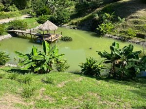 Vista Dominical Estate Century 21 Ocean View Property 5 (44)