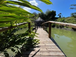 Vista Dominical Estate Century 21 Ocean View Property 5 (45)