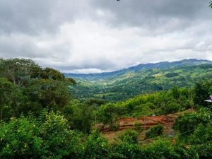 WhatsApp Image 2022-08-05 at 1.55.47 PM (6)