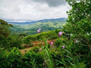 WhatsApp Image 2022-08-05 at 1.56.24 PM (11)