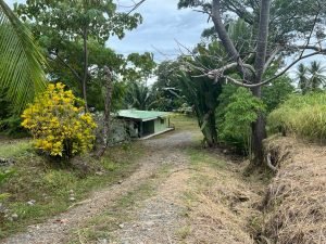 WhatsApp Image 2023-06-02 at 12.54.25 PM (2)