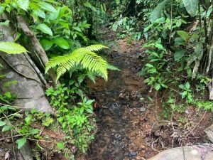 WhatsApp Image 2023-09-19 at 4.18.31 PM