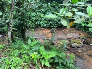 WhatsApp Image 2023-09-19 at 4.18.44 PM (1)