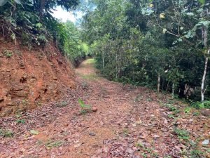 WhatsApp Image 2023-09-19 at 4.19.03 PM