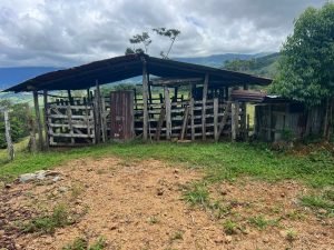 WhatsApp Image 2023-09-19 at 4.19.04 PM (1)