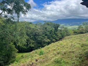 WhatsApp Image 2023-09-19 at 4.19.04 PM (2)