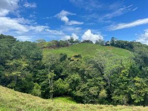 WhatsApp Image 2023-09-19 at 4.19.04 PM (3)