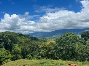 WhatsApp Image 2023-09-19 at 4.19.04 PM (4)