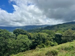 WhatsApp Image 2023-09-19 at 4.19.05 PM