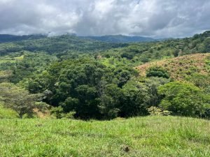 WhatsApp Image 2023-09-19 at 4.19.22 PM (2)