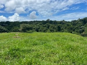 WhatsApp Image 2023-09-19 at 4.19.23 PM (3)