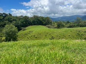 WhatsApp Image 2023-09-19 at 4.19.24 PM