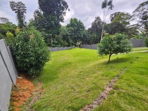 WhatsApp Image 2024-05-10 at 1.31.51 PM