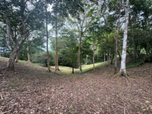 WhatsApp Image 2024-09-24 at 1.24.47 PM