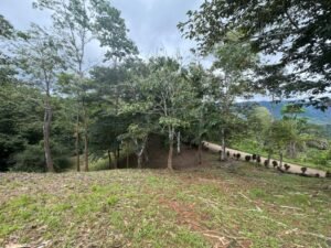 WhatsApp Image 2024-09-24 at 1.24.47 PM (5)