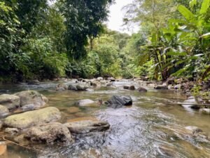 4908 – Tres casas, Tres Rios04