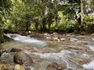 4908 – Tres casas, Tres Rios05