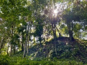 4908 – Tres casas, Tres Rios06