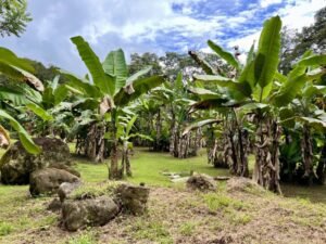 4908 – Tres casas, Tres Rios07