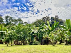 4908 – Tres casas, Tres Rios09