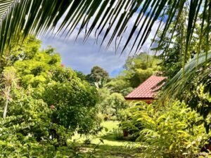 4908 – Tres casas, Tres Rios15