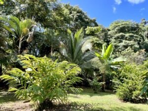 4908 – Tres casas, Tres Rios41