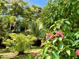 4908 – Tres casas, Tres Rios42