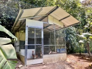 4908 – Tres casas, Tres Rios44