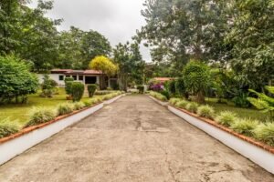 5d0e9395-6877-4a6c-8d48-14924517792e