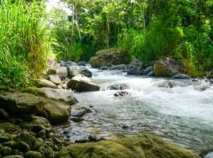 6a1df0bc-c048-484a-816a-e0b997ac9a5a