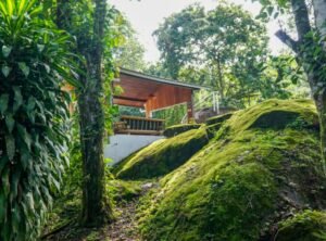 8627108f-a279-4333-8edf-91da42b8d3a3