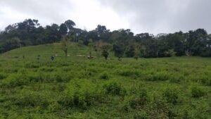 An exceptional amount of flat usable land