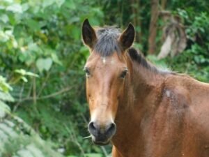 Are you my new friend